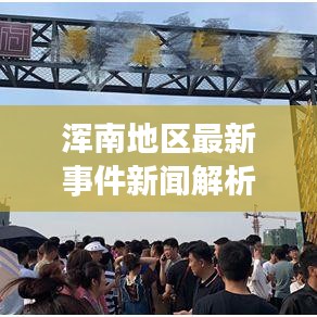 浑南地区最新事件新闻解析与视频概览