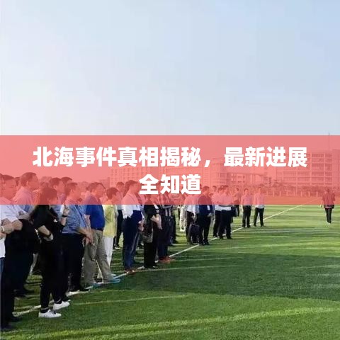 北海事件真相揭秘，最新进展全知道