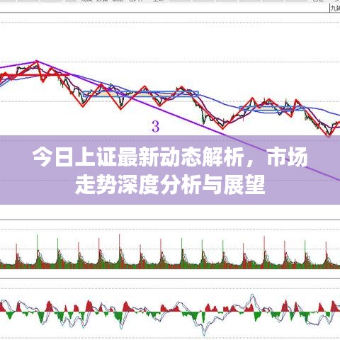 今日上证最新动态解析，市场走势深度分析与展望