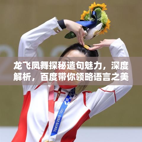 龙飞凤舞探秘造句魅力，深度解析，百度带你领略语言之美