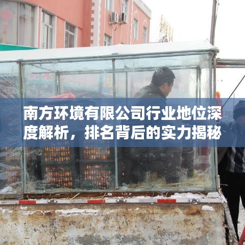 南方环境有限公司行业地位深度解析，排名背后的实力揭秘