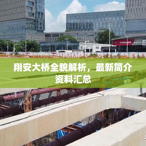 翔安大桥全貌解析，最新简介资料汇总