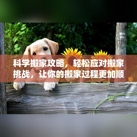 科学搬家攻略，轻松应对搬家挑战，让你的搬家过程更加顺利！