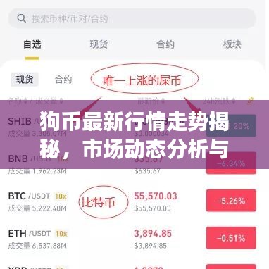 狗币最新行情走势揭秘，市场动态分析与未来趋势预测