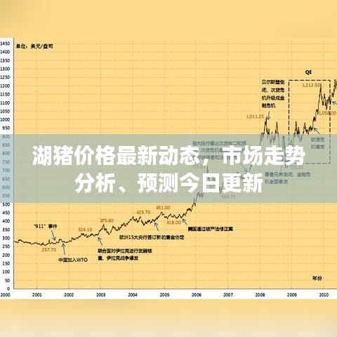 湖猪价格最新动态，市场走势分析、预测今日更新