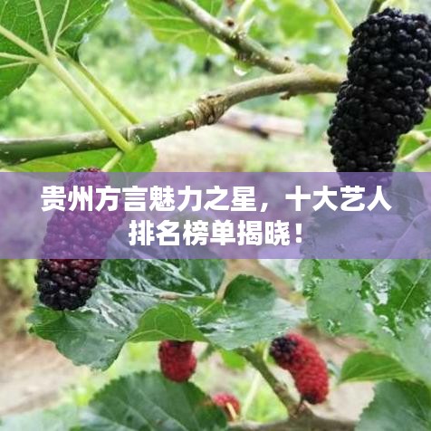 贵州方言魅力之星，十大艺人排名榜单揭晓！