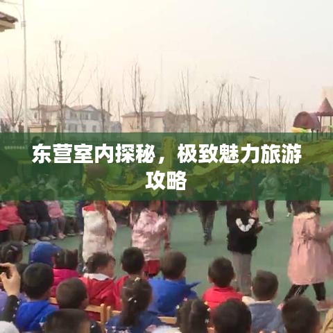东营室内探秘，极致魅力旅游攻略