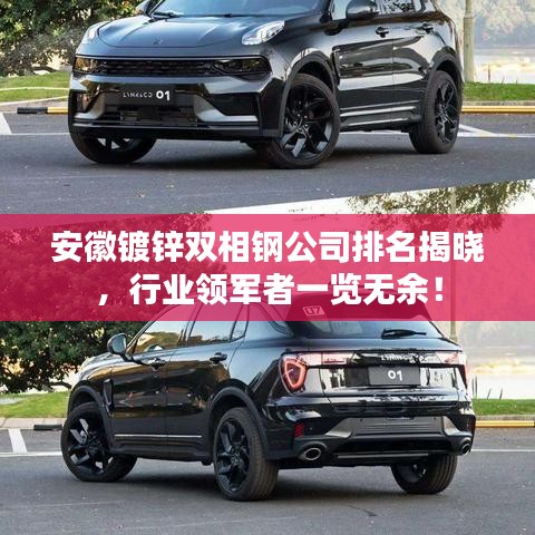 安徽镀锌双相钢公司排名揭晓，行业领军者一览无余！