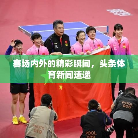 赛场内外的精彩瞬间，头条体育新闻速递