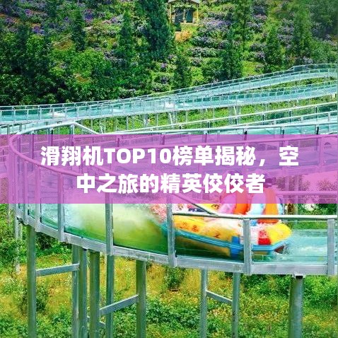滑翔机TOP10榜单揭秘，空中之旅的精英佼佼者