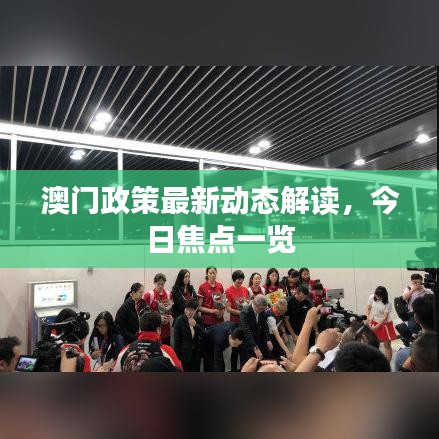 澳门政策最新动态解读，今日焦点一览