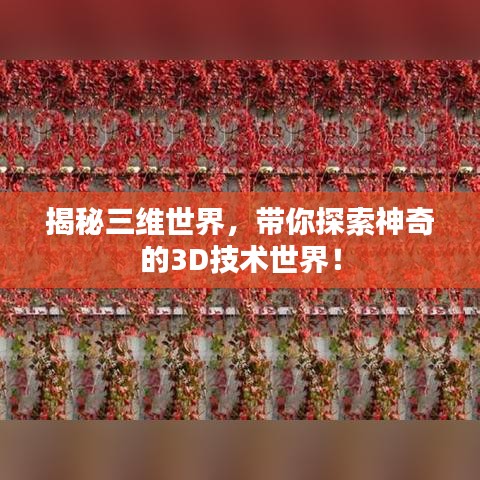揭秘三维世界，带你探索神奇的3D技术世界！