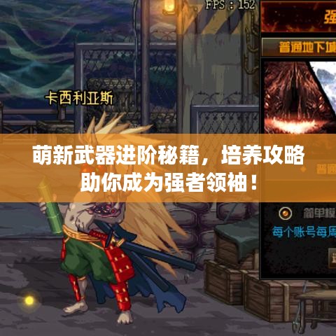 萌新武器进阶秘籍，培养攻略助你成为强者领袖！