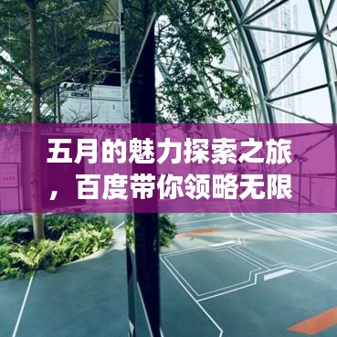 五月的魅力探索之旅，百度带你领略无限精彩！