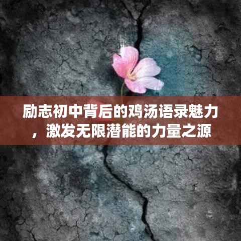 励志初中背后的鸡汤语录魅力，激发无限潜能的力量之源