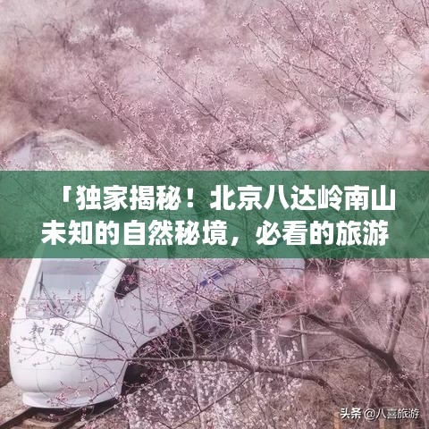 「独家揭秘！北京八达岭南山未知的自然秘境，必看的旅游攻略！」