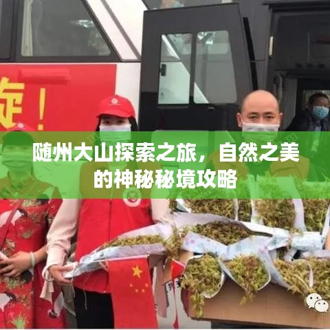 随州大山探索之旅，自然之美的神秘秘境攻略
