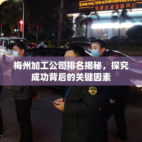 梅州加工公司排名揭秘，探究成功背后的关键因素