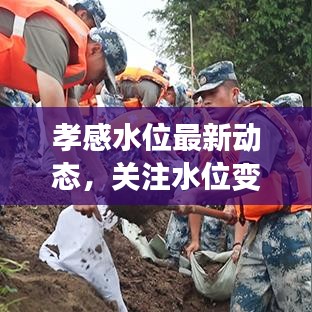孝感水位最新动态，关注水位变化，守护城市安全