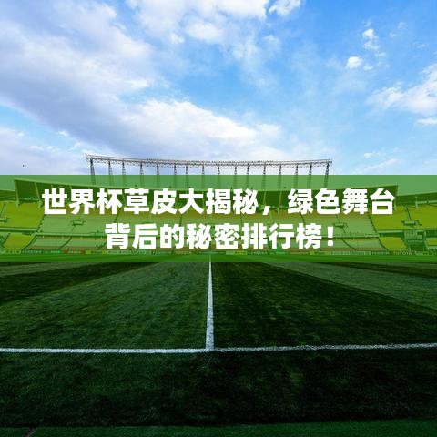 世界杯草皮大揭秘，绿色舞台背后的秘密排行榜！