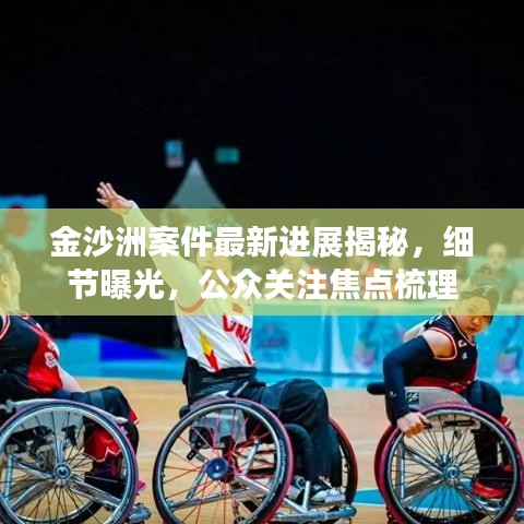 金沙洲案件最新进展揭秘，细节曝光，公众关注焦点梳理