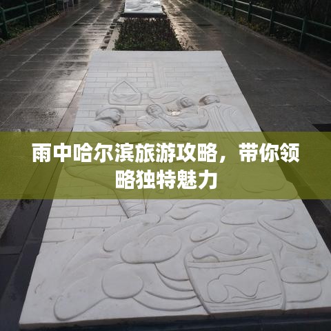 2025年5月17日