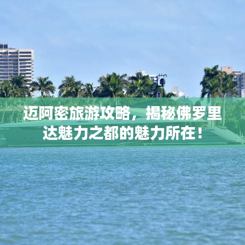 迈阿密旅游攻略，揭秘佛罗里达魅力之都的魅力所在！