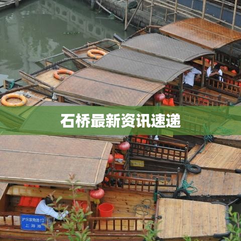 石桥最新资讯速递