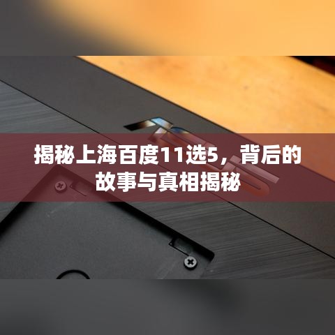 揭秘上海百度11选5，背后的故事与真相揭秘