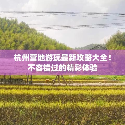 杭州营地游玩最新攻略大全！不容错过的精彩体验