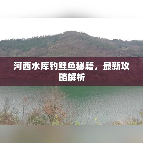 河西水库钓鲤鱼秘籍，最新攻略解析
