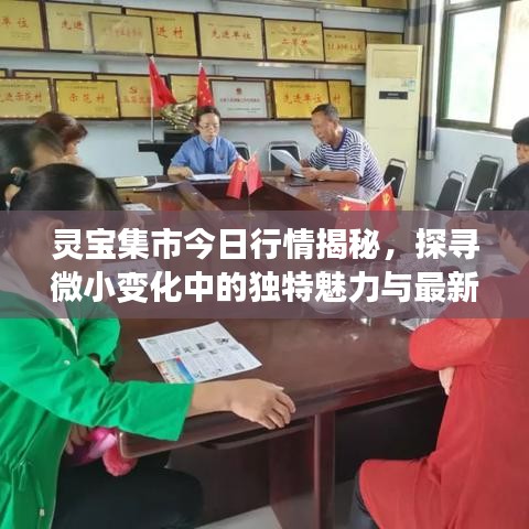 灵宝集市今日行情揭秘，探寻微小变化中的独特魅力与最新价格