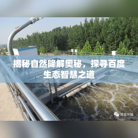 揭秘自然降解奥秘，探寻百度生态智慧之道