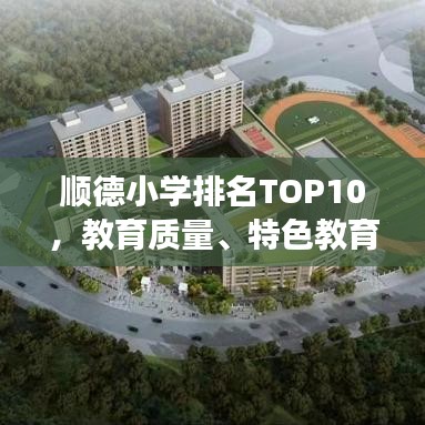 顺德小学排名TOP10，教育质量、特色教育及未来展望全解析