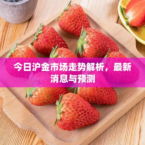 今日沪金市场走势解析，最新消息与预测