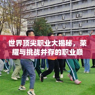 世界顶尖职业大揭秘，荣耀与挑战并存的职业巅峰排名