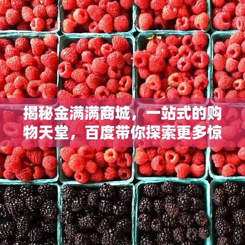 揭秘金满满商城，一站式的购物天堂，百度带你探索更多惊喜！