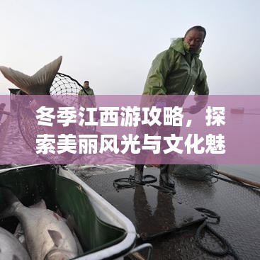 冬季江西游攻略，探索美丽风光与文化魅力