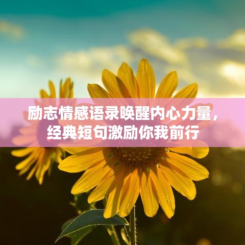 励志情感语录唤醒内心力量，经典短句激励你我前行