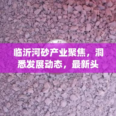 临沂河砂产业聚焦，洞悉发展动态，最新头条新闻