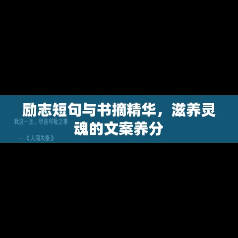 励志短句与书摘精华，滋养灵魂的文案养分
