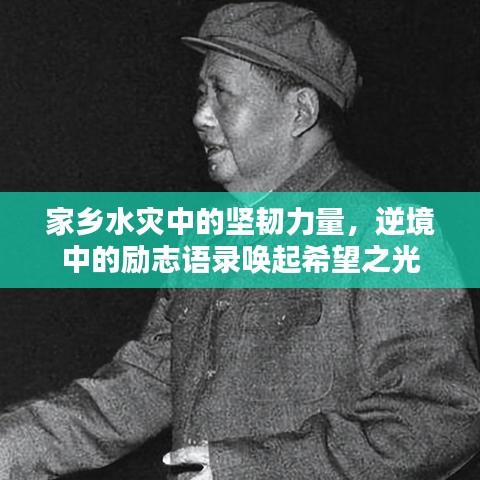 家乡水灾中的坚韧力量，逆境中的励志语录唤起希望之光