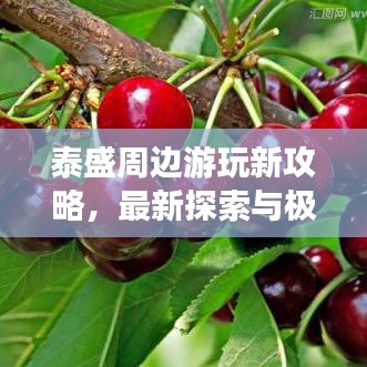 泰盛周边游玩新攻略，最新探索与极致体验