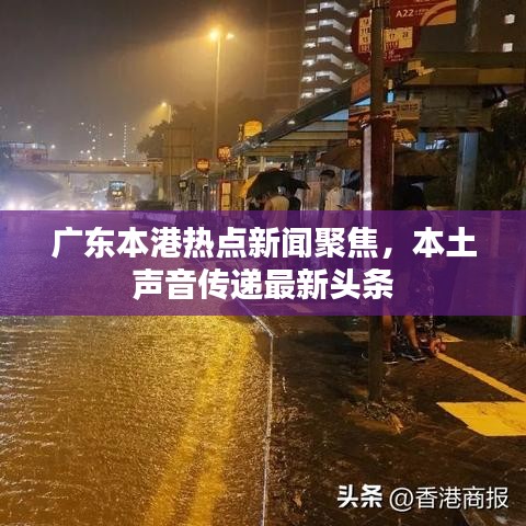 广东本港热点新闻聚焦，本土声音传递最新头条