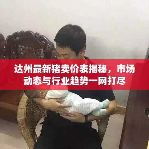 达州最新猪卖价表揭秘，市场动态与行业趋势一网打尽