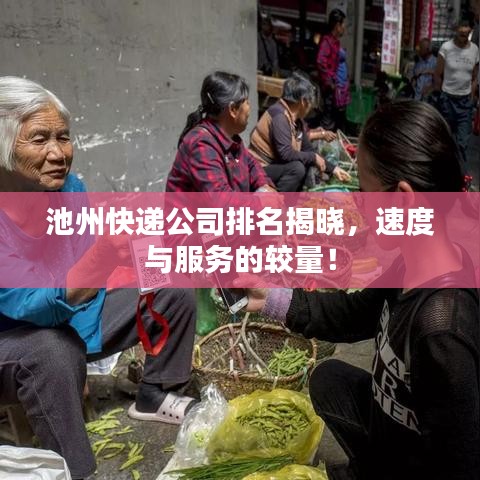 池州快递公司排名揭晓，速度与服务的较量！