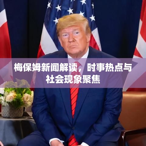 梅保姆新闻解读，时事热点与社会现象聚焦
