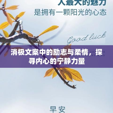 消极文案中的励志与柔情，探寻内心的宁静力量