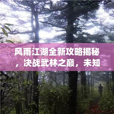 风雨江湖全新攻略揭秘，决战武林之巅，未知探险等你来挑战！