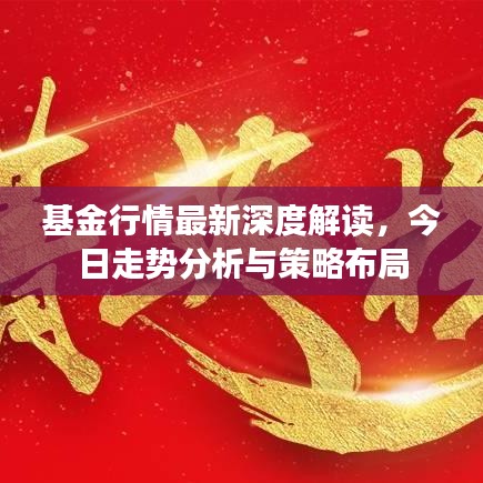 基金行情最新深度解读，今日走势分析与策略布局